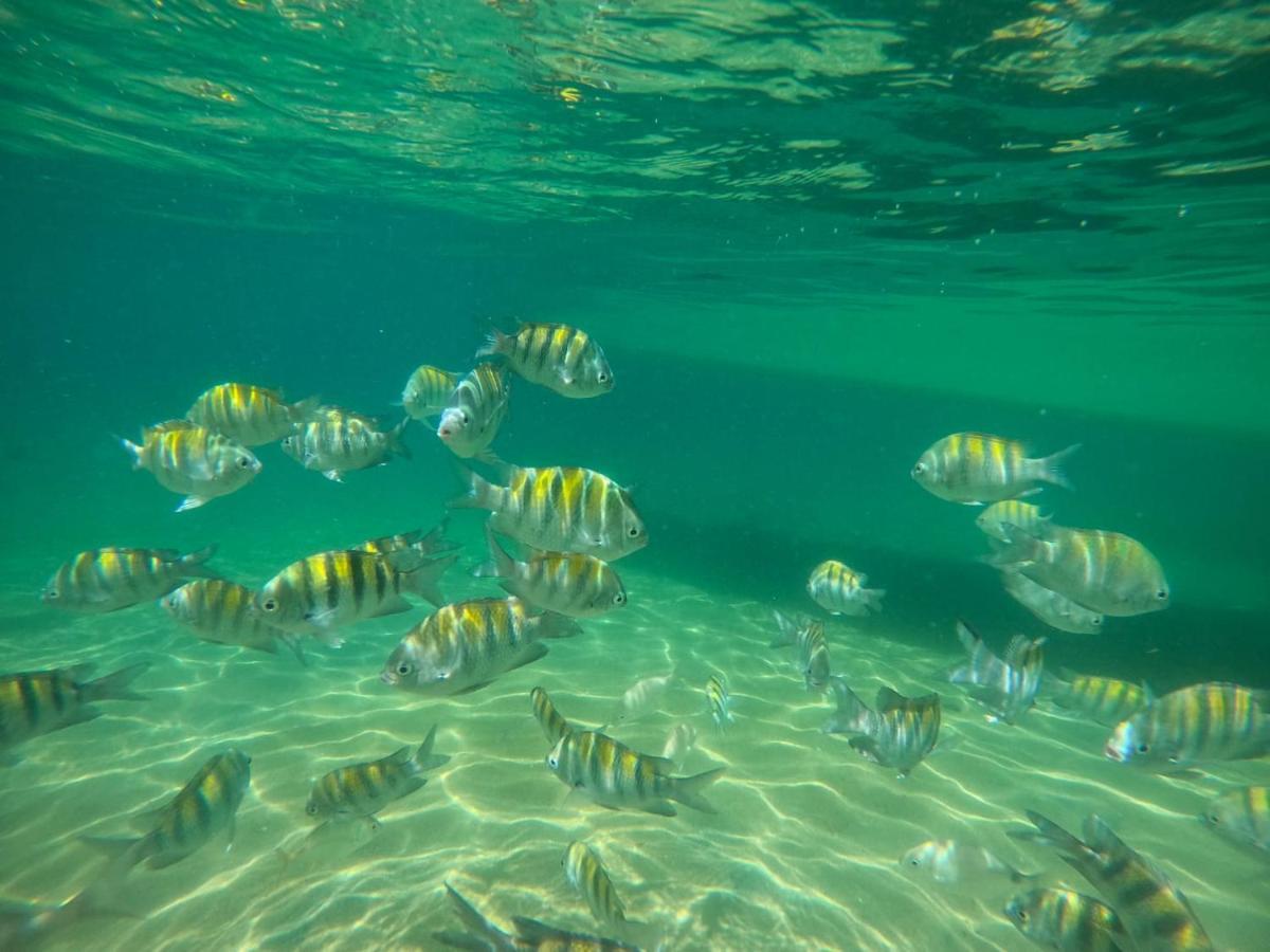 Hostel E Pousada Blue Lagoon Abraão Εξωτερικό φωτογραφία